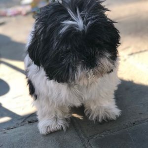 Meet your Posher, Maura